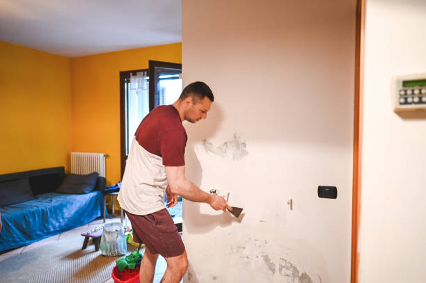 Best Home Mold Removal  in Edgewater, MD